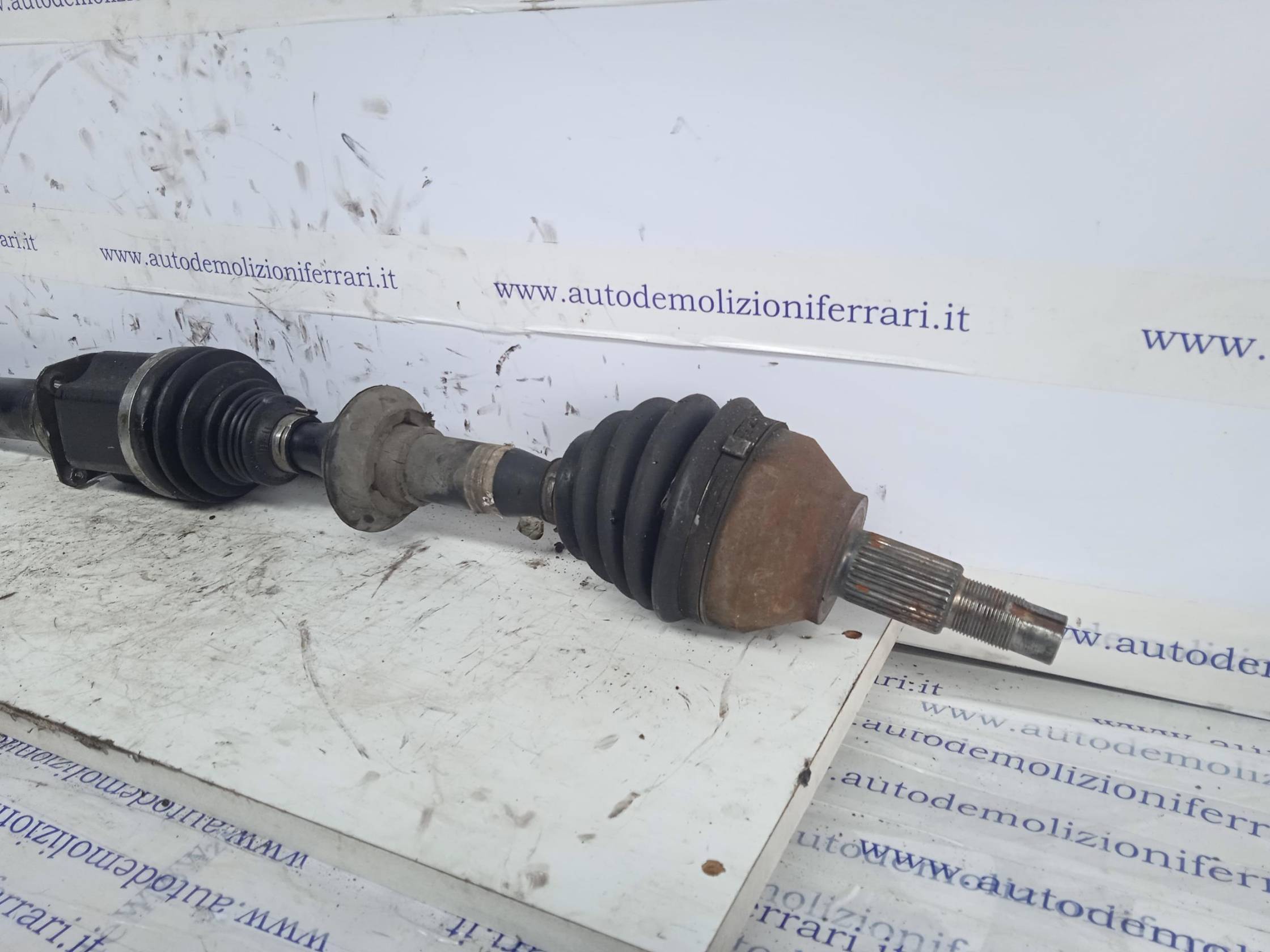 Semialbero ant. compl. dx.